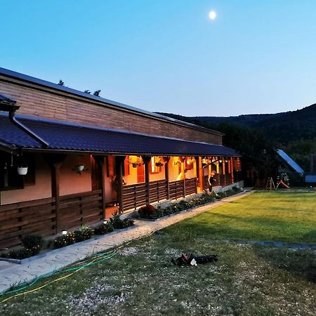 Casa Borcean 2 Guest House Sasca Montana Ngoại thất bức ảnh