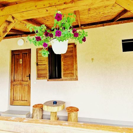 Casa Borcean 2 Guest House Sasca Montana Ngoại thất bức ảnh