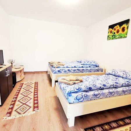 Casa Borcean 2 Guest House Sasca Montana Ngoại thất bức ảnh