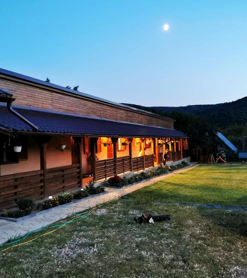 Casa Borcean 2 Guest House Sasca Montana Ngoại thất bức ảnh