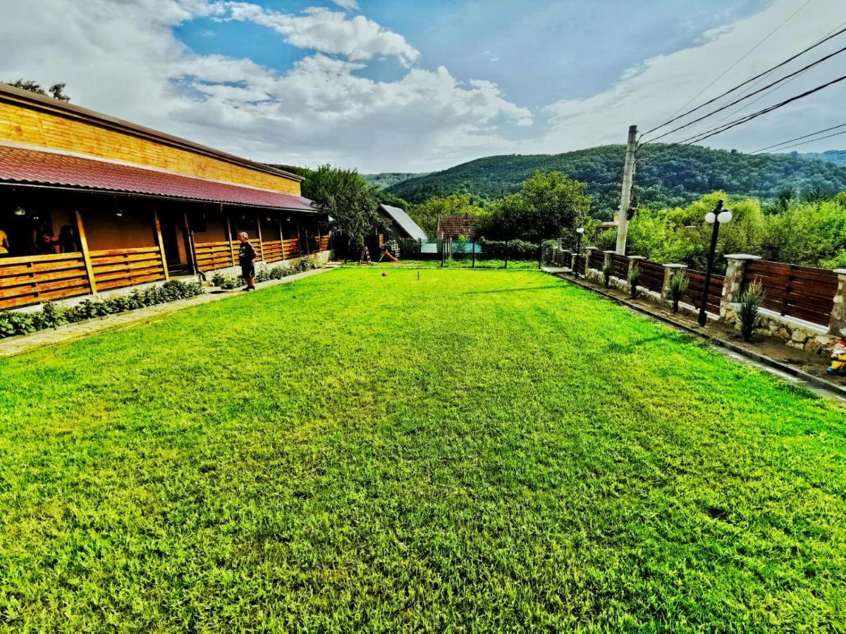 Casa Borcean 2 Guest House Sasca Montana Ngoại thất bức ảnh