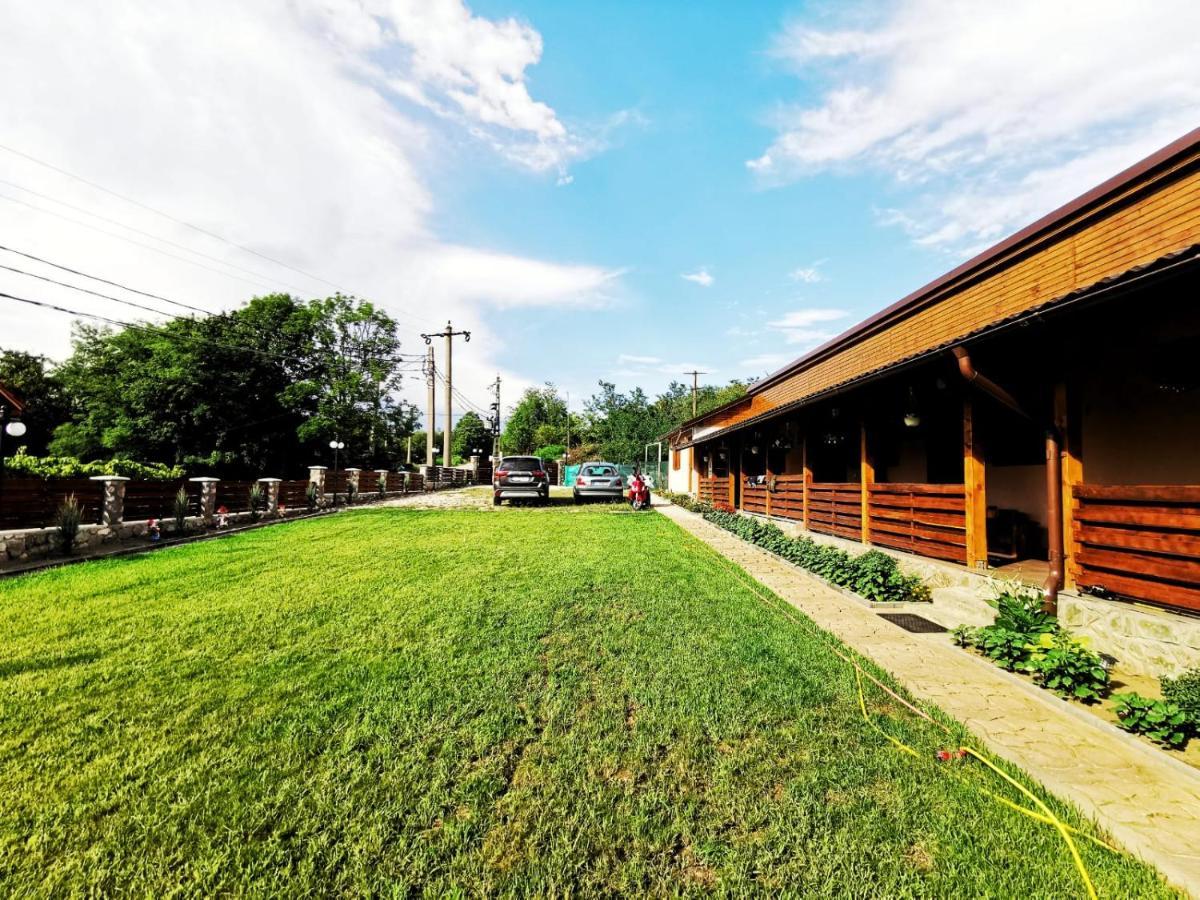 Casa Borcean 2 Guest House Sasca Montana Ngoại thất bức ảnh