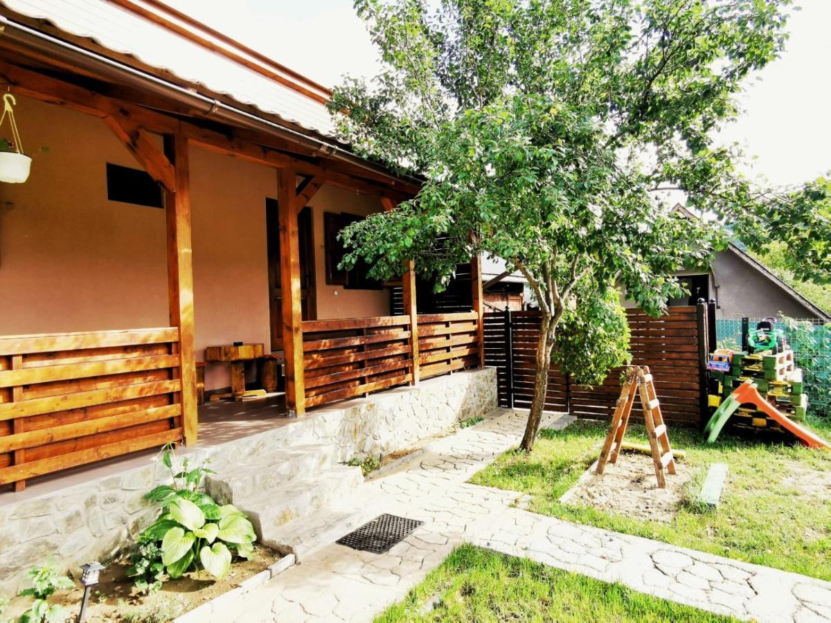 Casa Borcean 2 Guest House Sasca Montana Ngoại thất bức ảnh