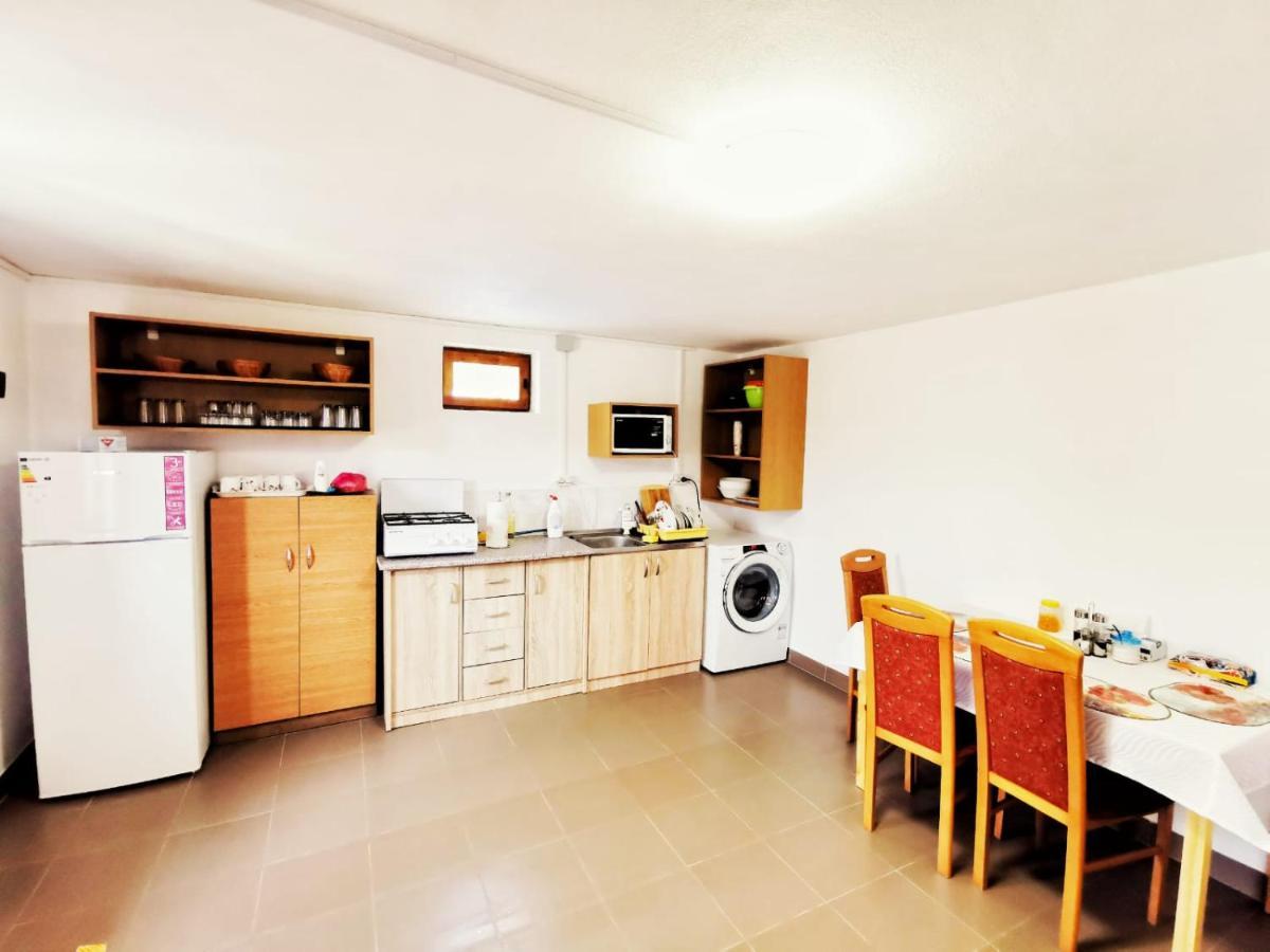 Casa Borcean 2 Guest House Sasca Montana Ngoại thất bức ảnh
