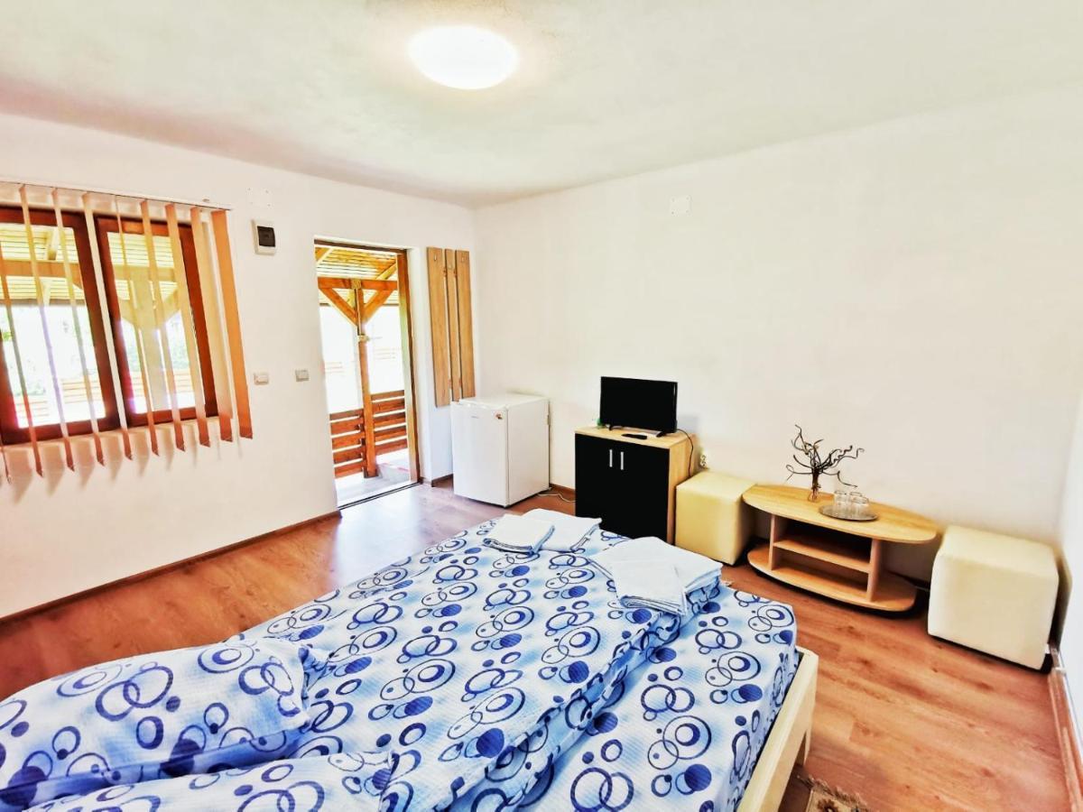 Casa Borcean 2 Guest House Sasca Montana Ngoại thất bức ảnh