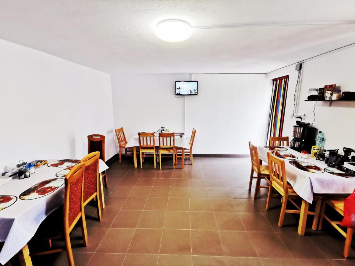 Casa Borcean 2 Guest House Sasca Montana Ngoại thất bức ảnh