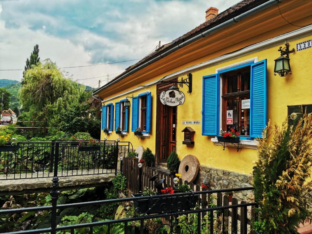 Casa Borcean 2 Guest House Sasca Montana Ngoại thất bức ảnh